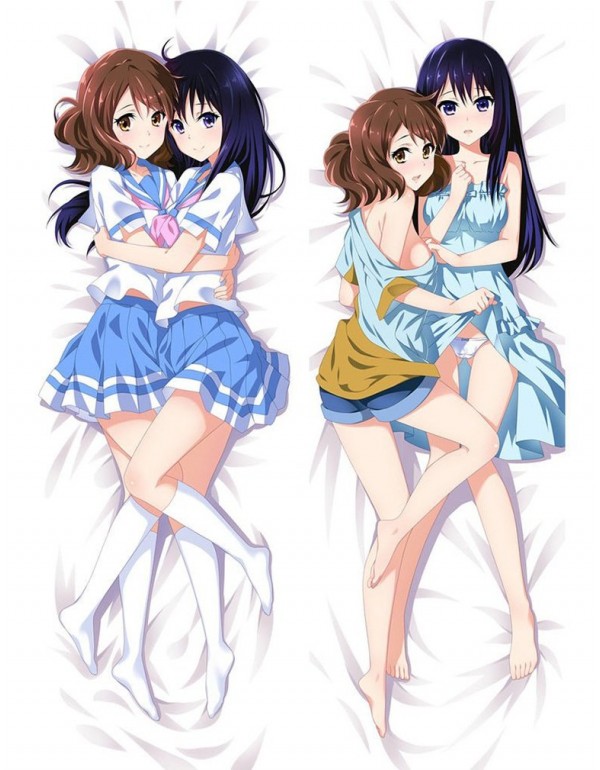 Kumiko & Reina Hibike Sound Euphonium  Anime B...